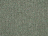 Sunbrella Cast Sage (48092-0000)